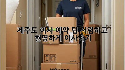 제주도 이사 예약 팁: 저렴하고 현명하게 이사하기