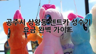 공주시 상왕동 렌트카 성수기 요금 완벽 가이드!