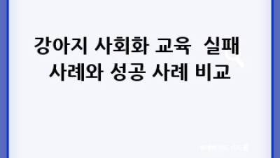 우리 강아지, 행복한 사회생활 위한 완벽 사회화 가이드